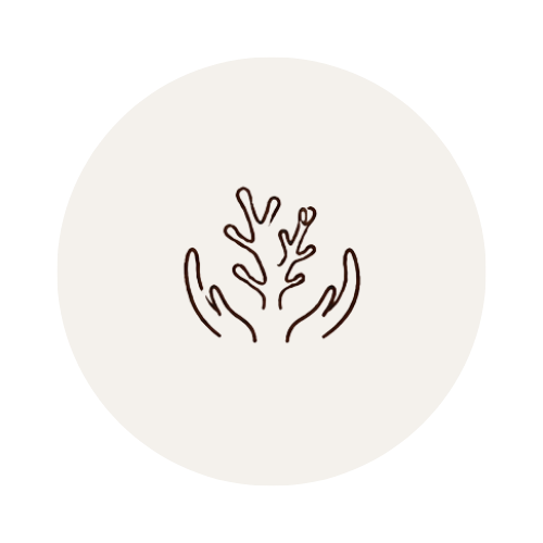 website icons.png__PID:2ef0f0ba-d71f-4a2a-a157-29a8241903ec